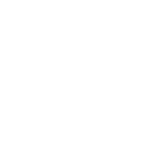 Toronto Raptors logo